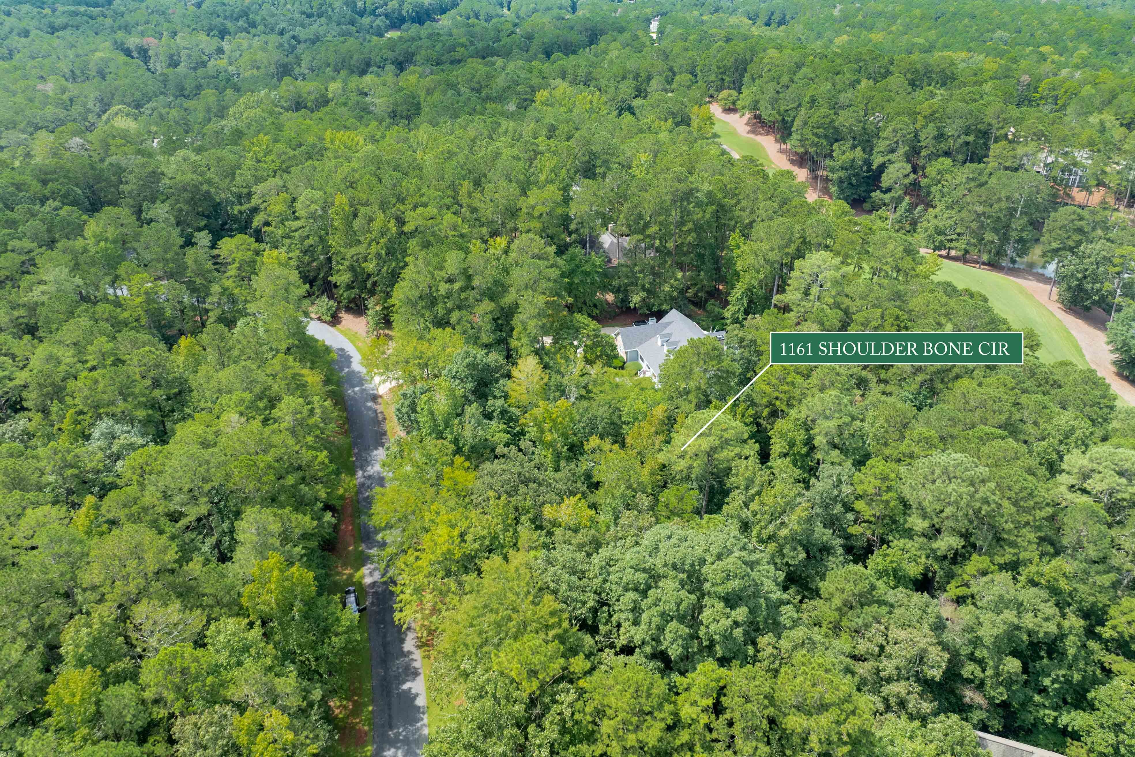 1161 Shoulder Bone Circle image 11